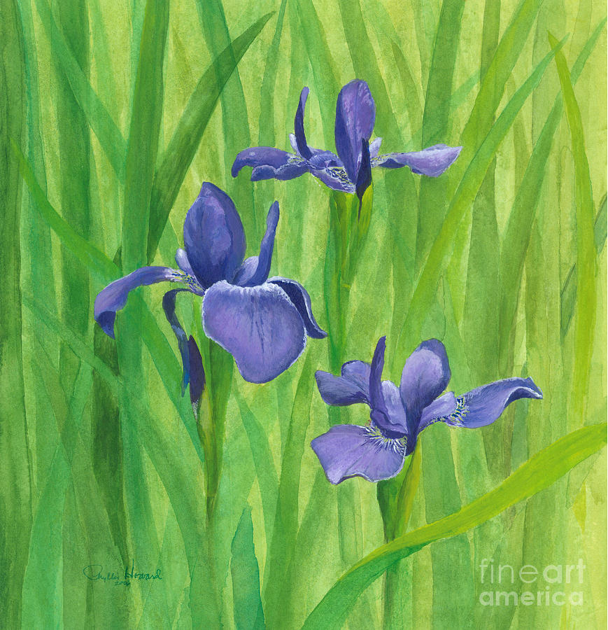 Purple Iris Painting by Phyllis Howard