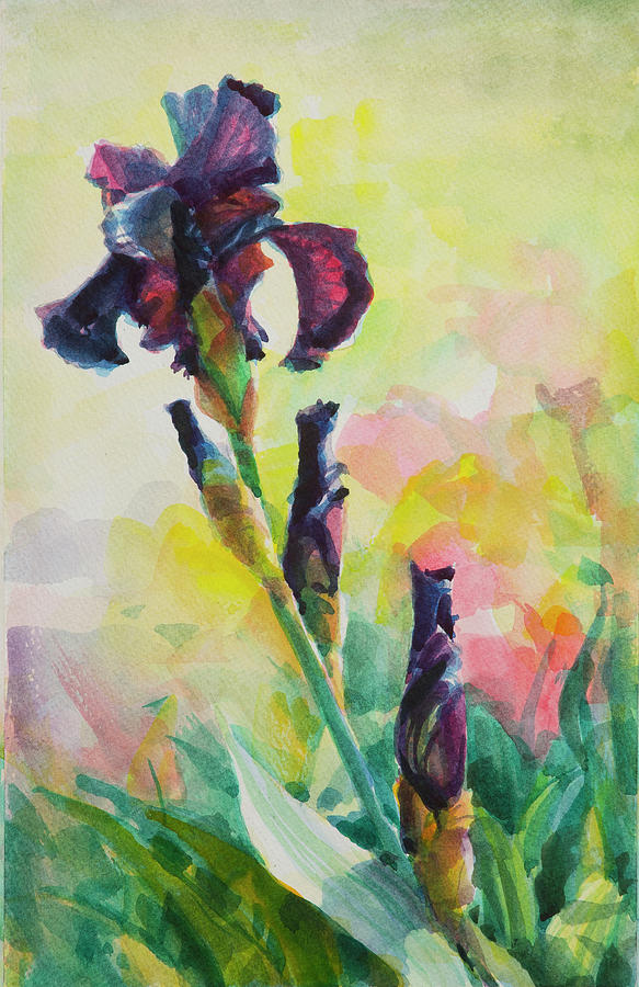 Spring Painting - Purple Iris by Steve Henderson