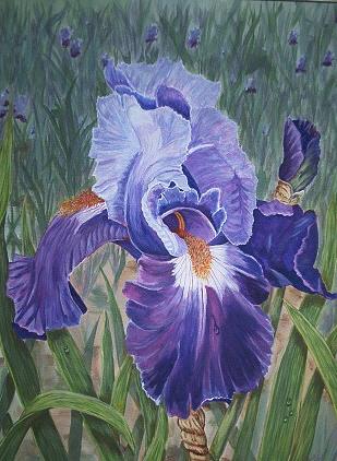 Floral Painting - Purple Iris by Sue Ervin