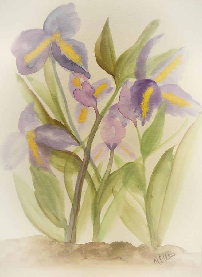 Purple Iris Watercolor Painting by Maria Urso