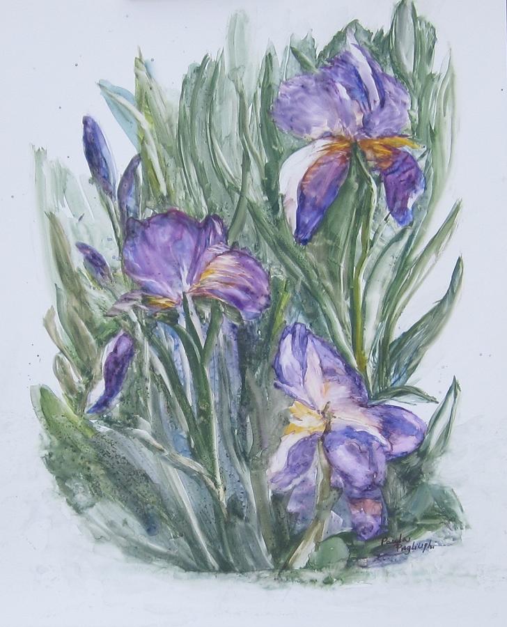 Purple Iris Watercolor Painting by Paula Pagliughi