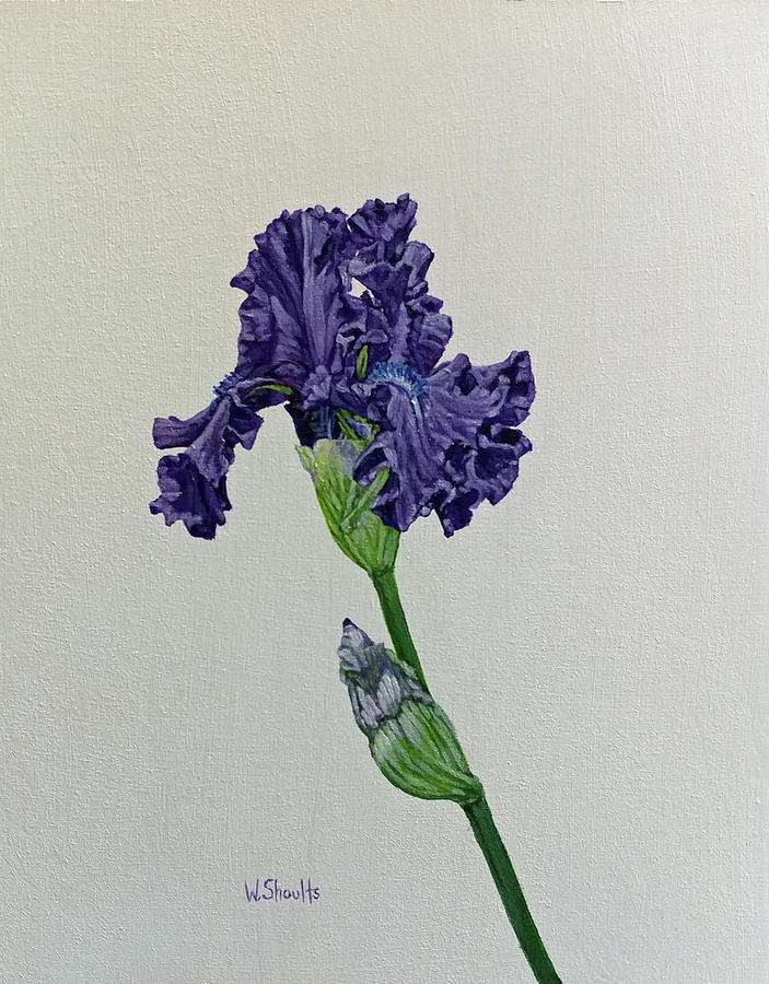 Purple Iris Painting by Wendy Shoults