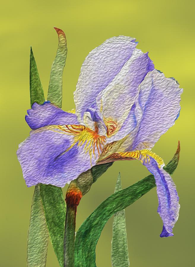 Purple Iris with Digital Oil Paint Effect on Gold Background Photograph by Linda Brody
