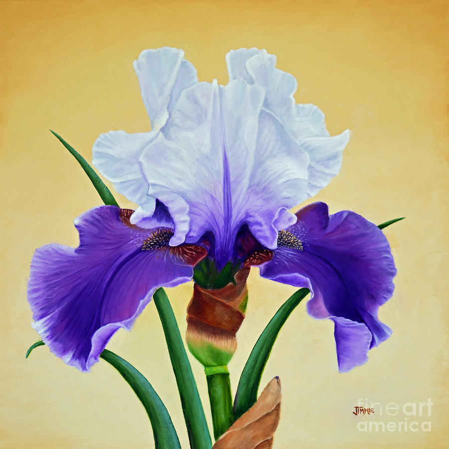 Purple Iris With White Tops Painting by Jimmie Bartlett