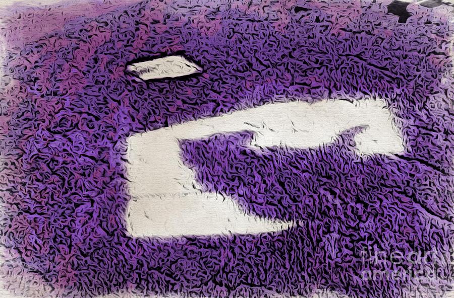 Purple Kitty Image Abstract Photograph by Phyllis Kaltenbach