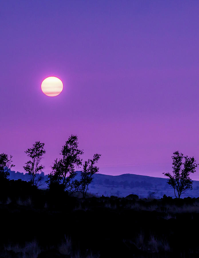 Purple Kona Sunset Photograph by Rich Isaacman