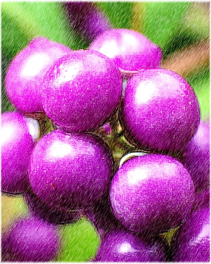 Purple Digital Art - Purple by Kumiko Izumi