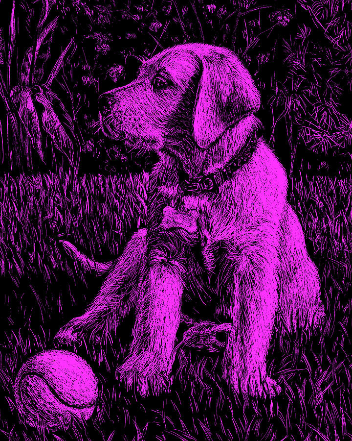 Purple Labrador Puppy Dog Painting by Irina Sztukowski