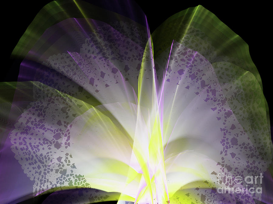 Abstract Digital Art - Purple Lace by Melissa Messick
