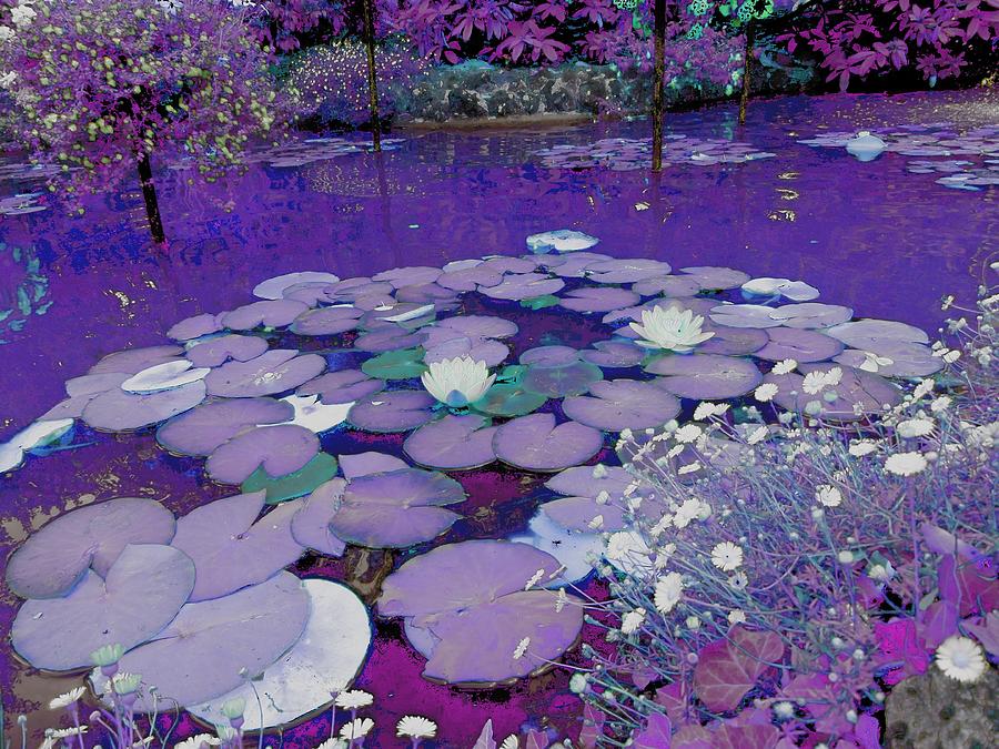 Purple Lake Dreaming Digital Art by Yolanda Caporn