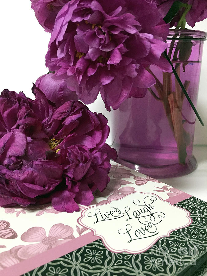 Purple Lavender Peonies - Live Laugh Love Inspirational Peony Print Home Decor  Photograph by Kathy Fornal