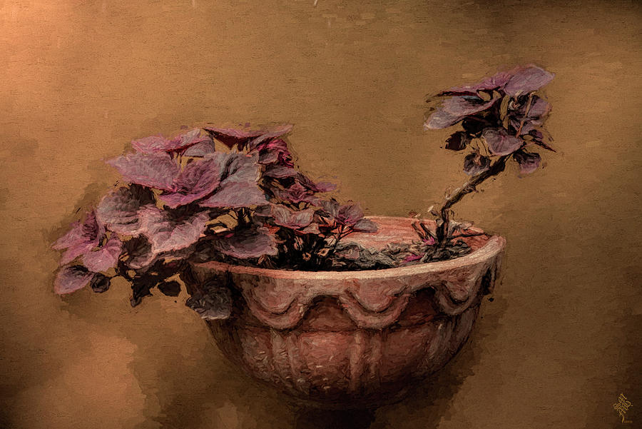 Purple Leaves Digital Art by Syed Muhammad Munir ul Haq