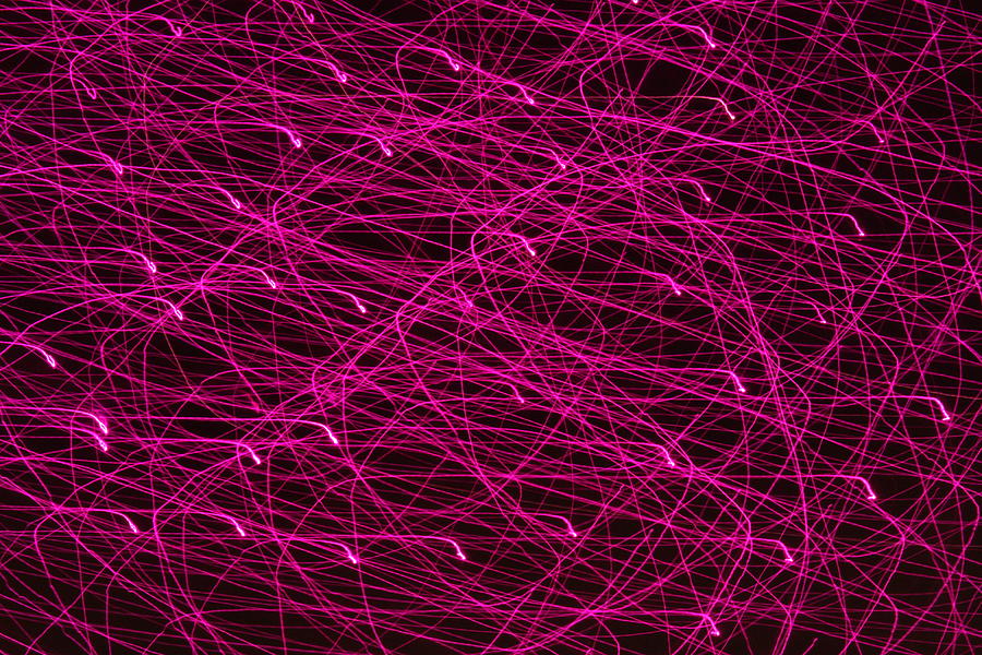 Abstract Photograph - Purple Light Web by Jonathan Kotinek