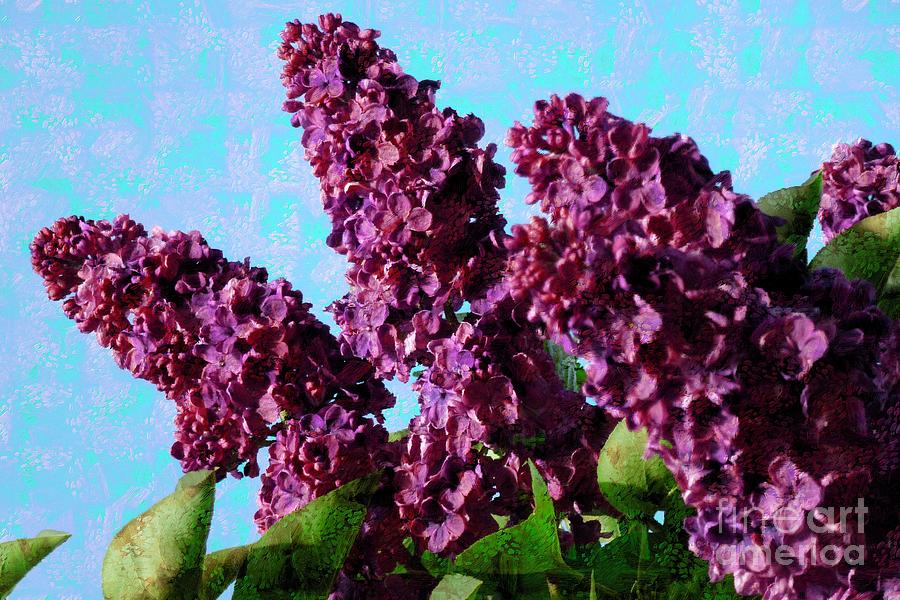 Purple Lilac 2 Photograph by Jean Bernard Roussilhe
