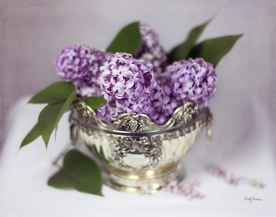 Bowl Photograph - Purple Lilacs in Silver Bowl by Betty Denise
