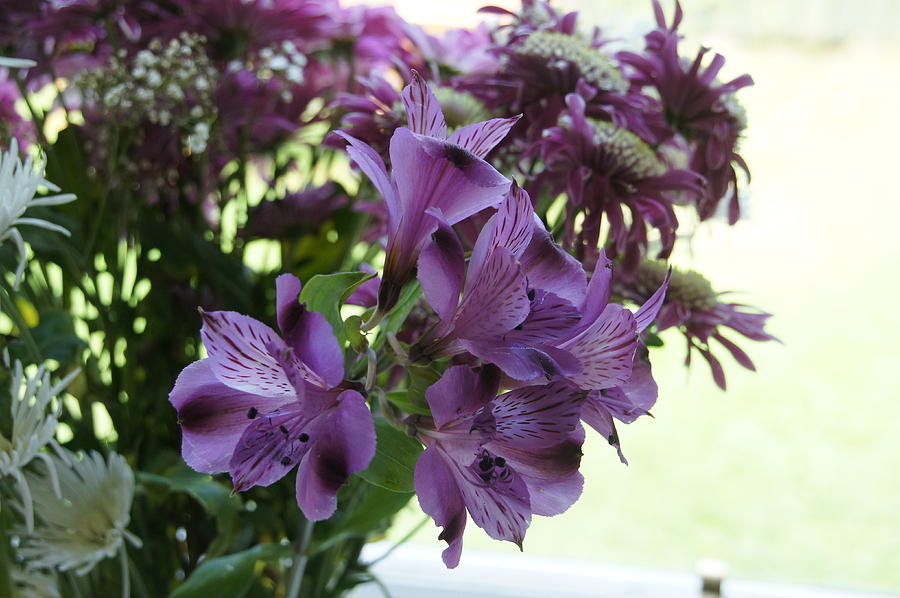 Purple Lilies Bouquet. Photograph by Elena Perelman