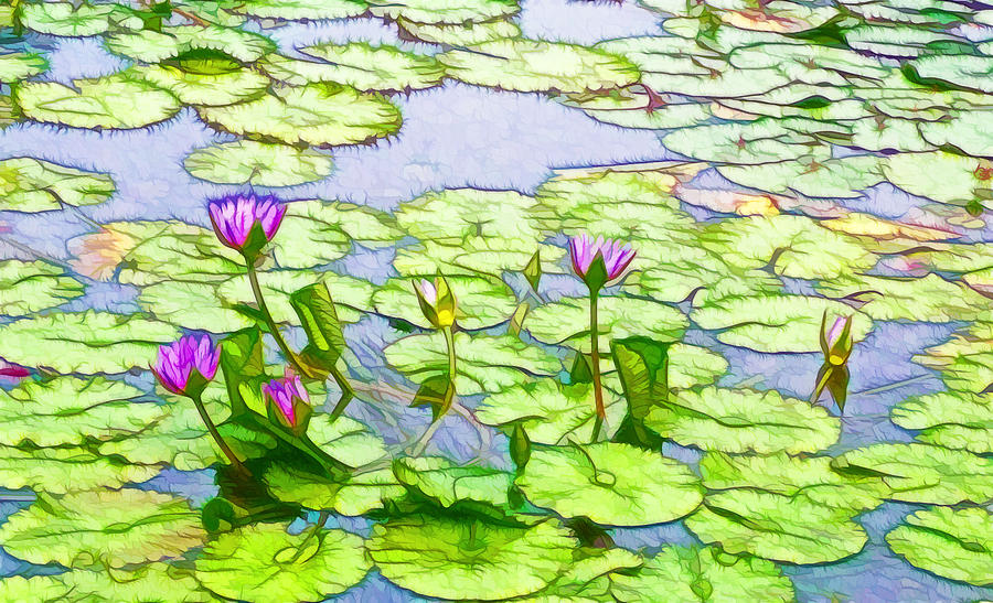 Purple Lotus Flower  Painting by Jeelan Clark