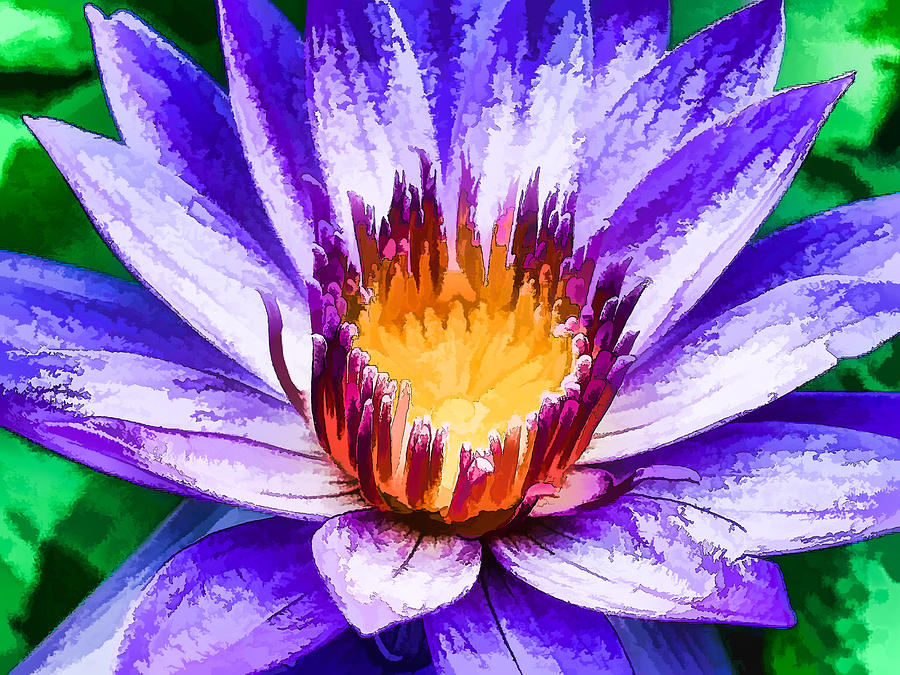 Lily Painting - Purple Lotus by Jeelan Clark