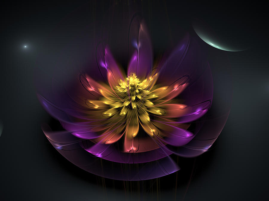 Purple Lotus Digital Art