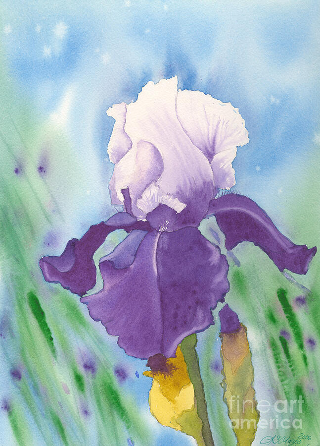 Iris Painting - Purple by Louise Magno