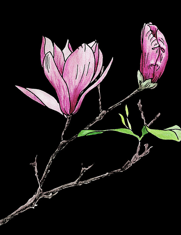 Purple Magnolia. Colored Mixed Media by Masha Batkova