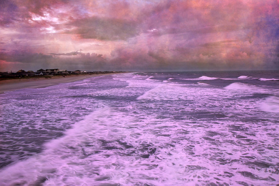 Topsail Photograph - Purple Majesty  by Betsy Knapp