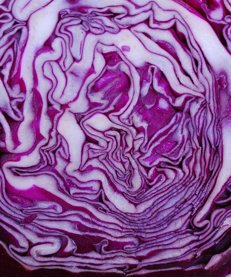 Purple Maze Photograph by Bindu Viswanathan