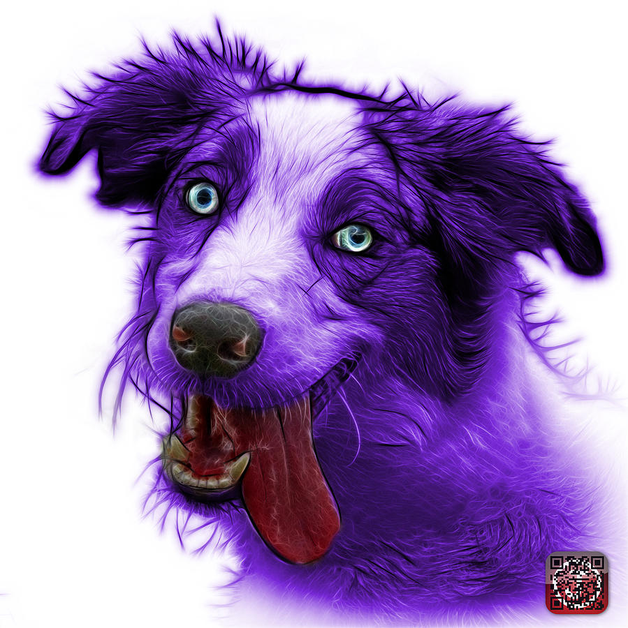 Purple Merle Australian Shepherd - 2136 - Wb Painting by James Ahn