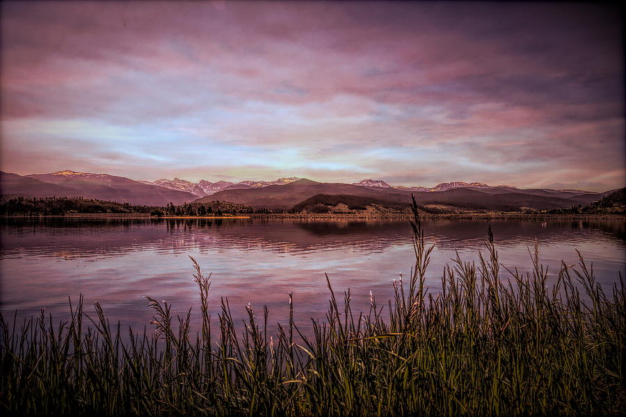 Purple Mountain Majesties Photograph by Judy Vincent