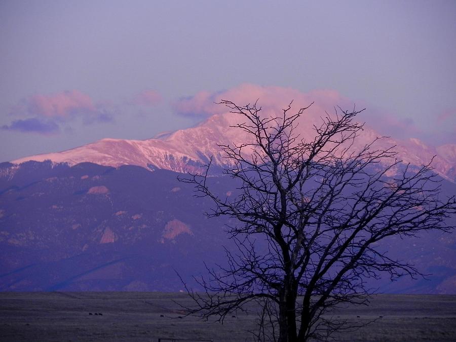Mountains Photograph - Purple Mountain Majesty by Adrienne Petterson Mountains Photograph - Purple Mountain Majesty by Adrienne Petterson