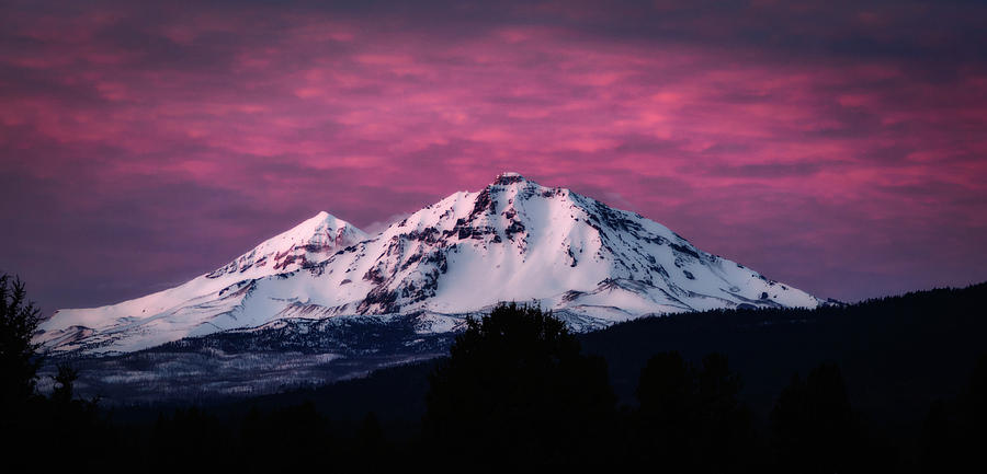 Purple Mountain Majesty Photograph by Cat Connor
