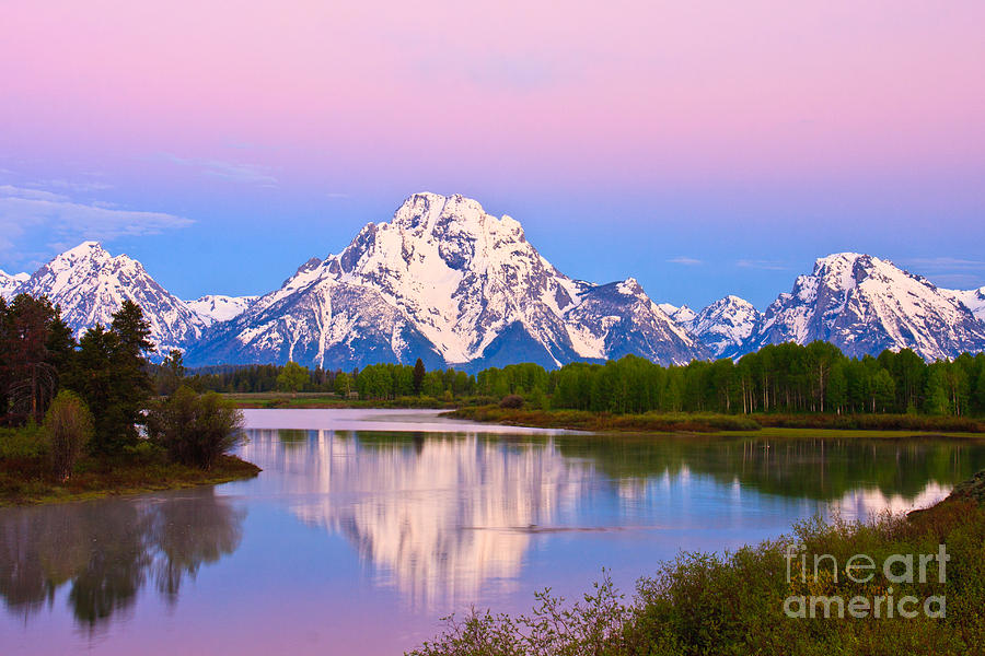 Purple Mountain Majesty Photograph by Jennifer Ludlum