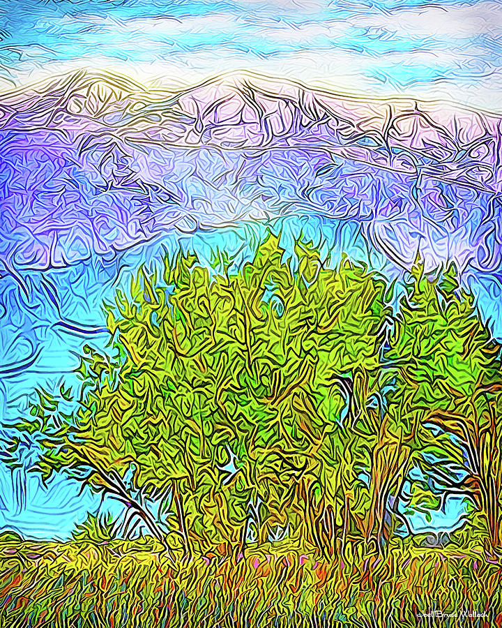 Tree Digital Art - Purple Mountain Plains - Boulder County Colorado by Joel Bruce Wallach