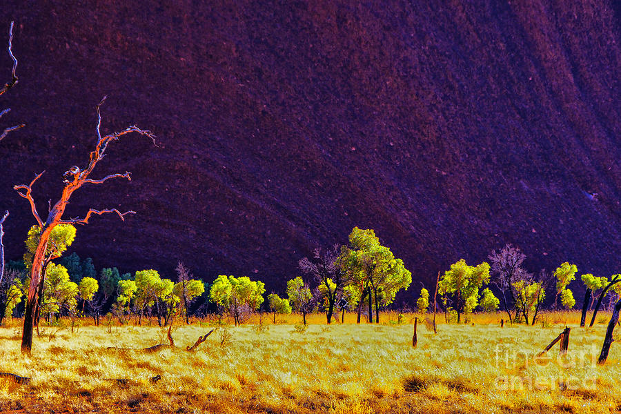 Purple Mountain Photograph by Rick Bragan