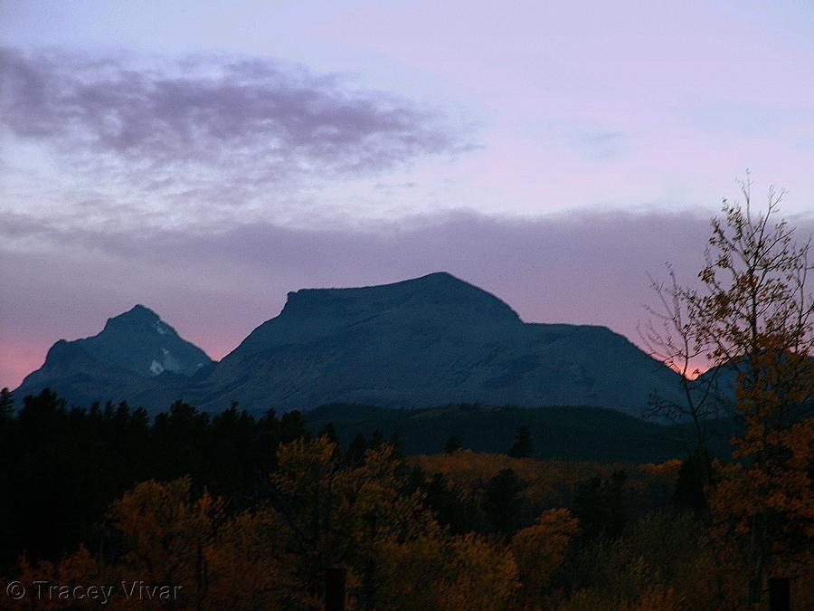 Purple Mountains Majesty Photograph by Tracey Vivar