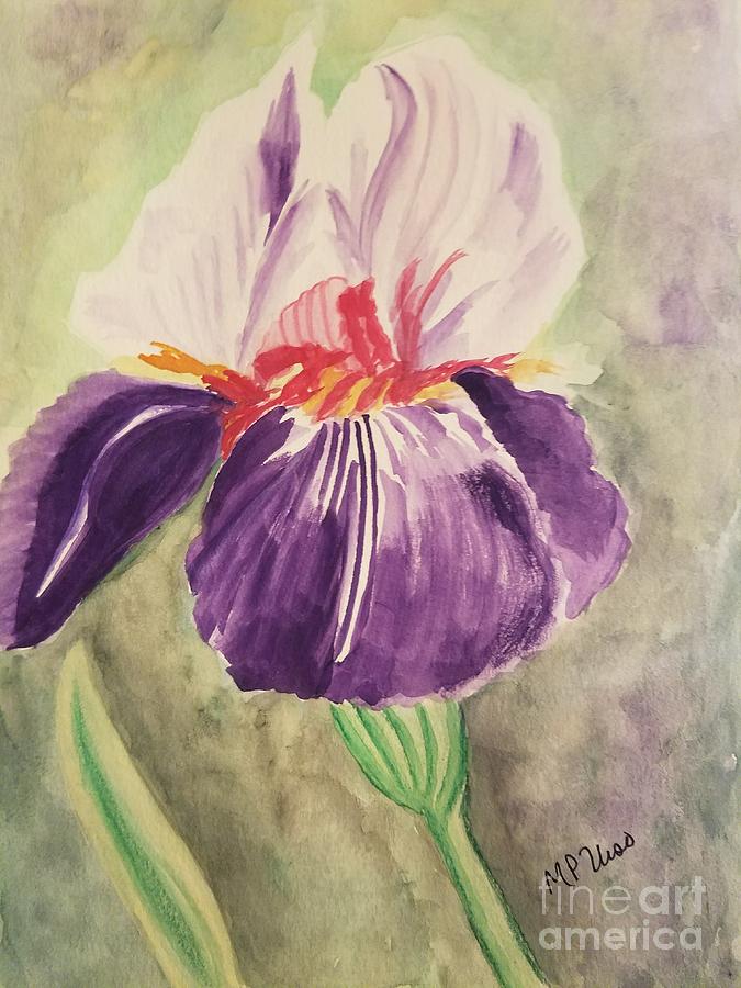 Purple N White Iris Painting by Maria Urso