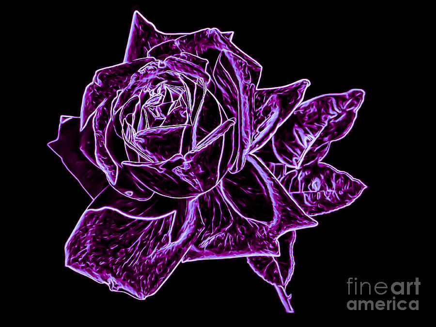 Purple Neon Rose Digital Art by Brenda Landdeck - Pixels