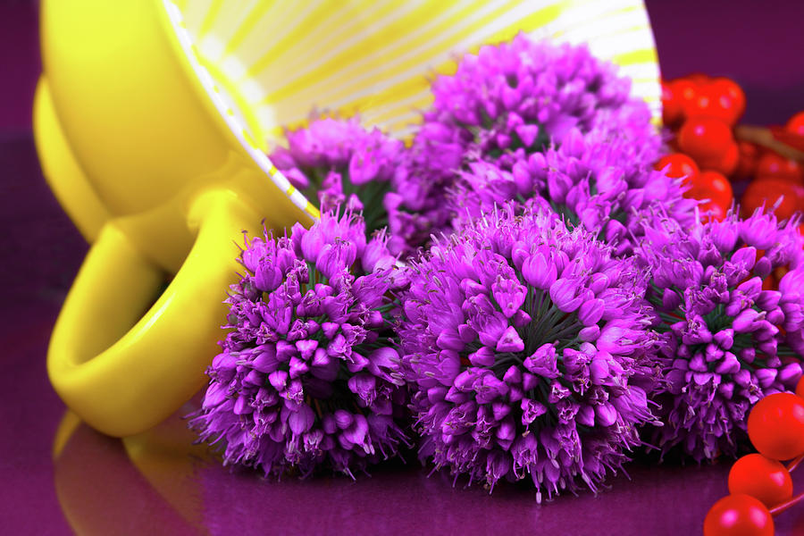 Onion Photograph - Purple Onion Flower Macro by Tom Mc Nemar