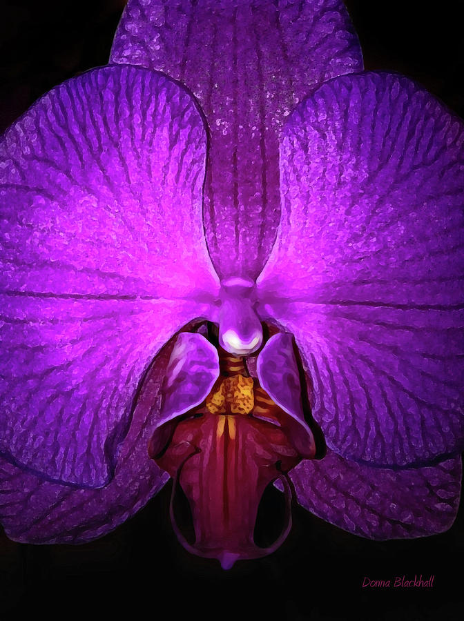 Purple Orchid Digital Art by Donna Blackhall