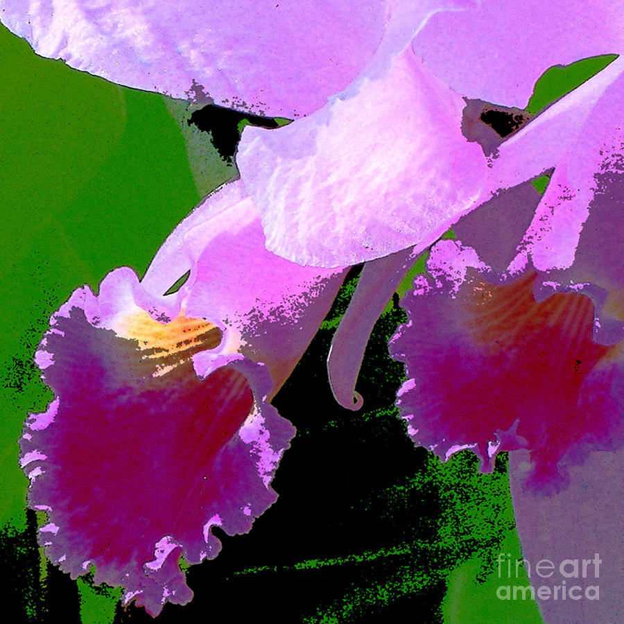 Purple Orchid Digital Art by Marsha Young