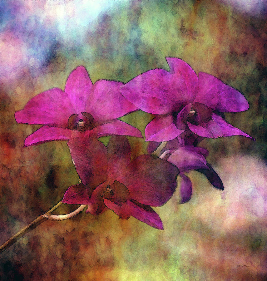 Purple Orchids 8465 IDP_2 Photograph by Steven Ward