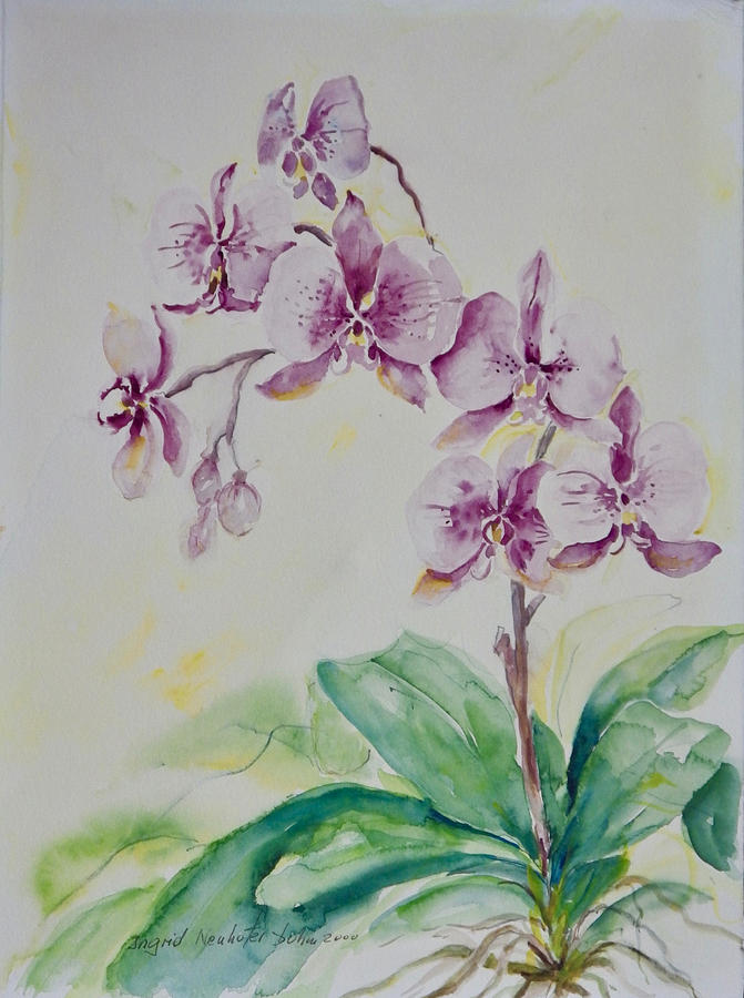 Purple Orchids Painting by Ingrid Dohm