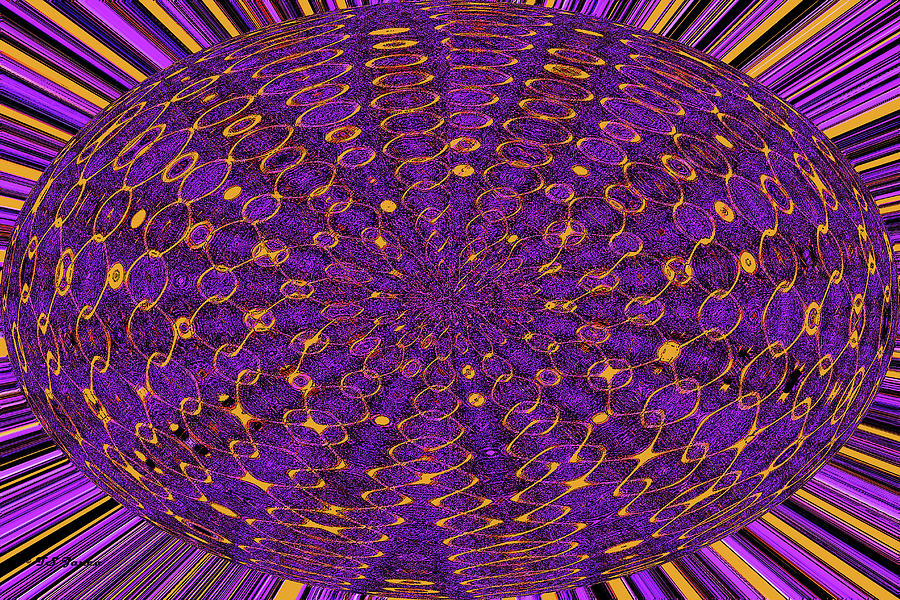 Purple Oval Panel With Gold Rings Abstract Digital Art by Tom Janca