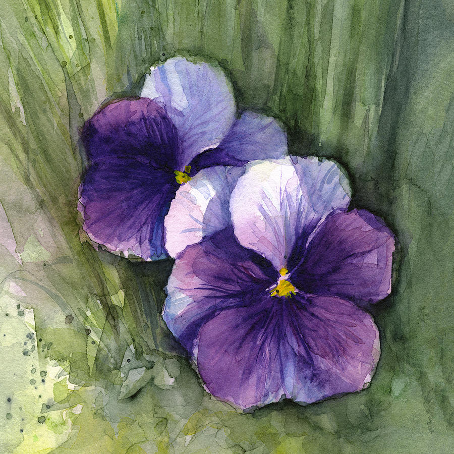 Pansy Painting - Purple Pansies Watercolor by Olga Shvartsur