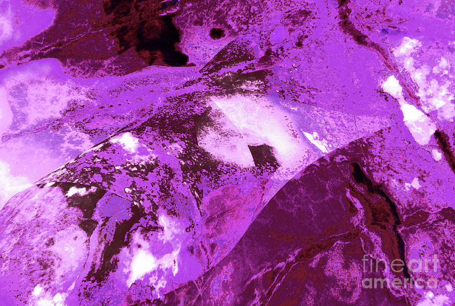 Purple Passion Abstract Photograph