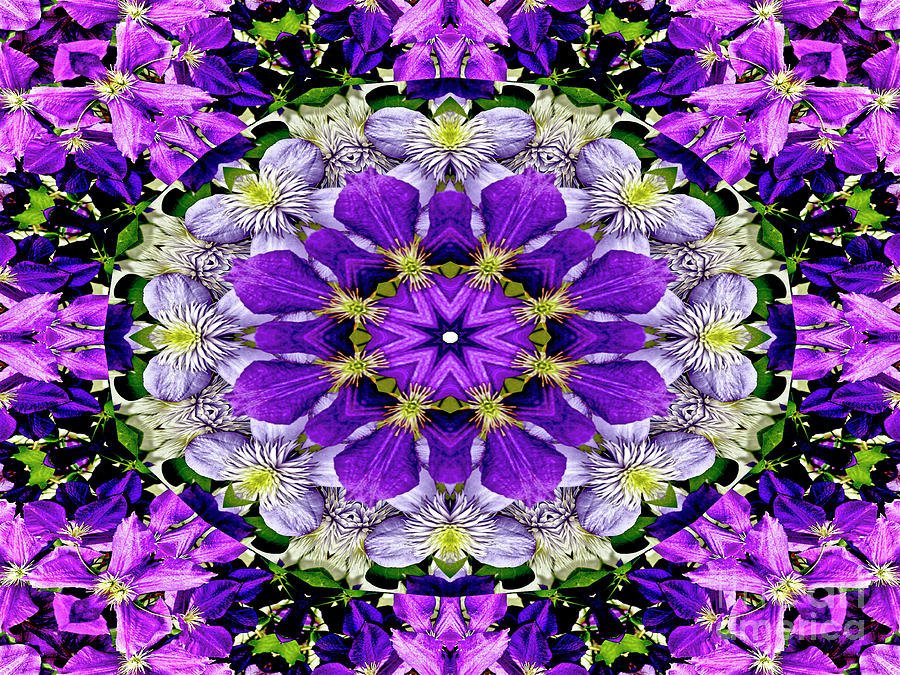 Purple Passion Floral Design Photograph by Carol F Austin