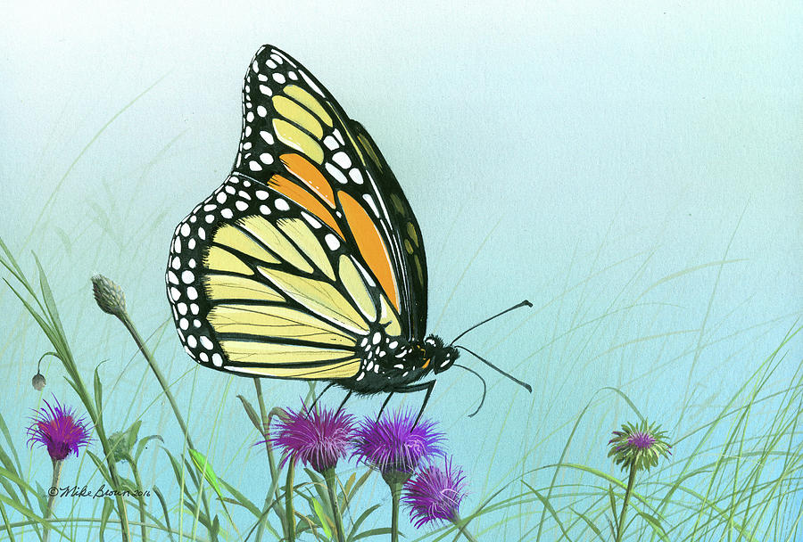 Butterfly Painting - Purple Passion by Mike Brown Butterfly Painting - Purple Passion by Mike Brown