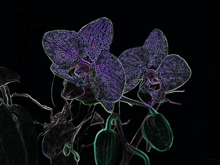 Purple Passion Orchids in Neon Mixed Media by Lesa Fine