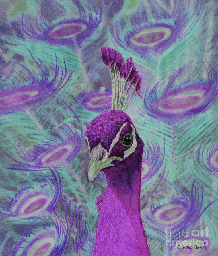 Purple Peacock Painting by Elaine Jones