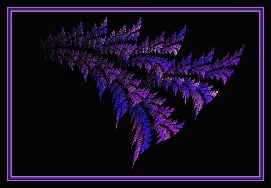 Purple Peacock Palmetto - Framed Digital Art by Doug Morgan